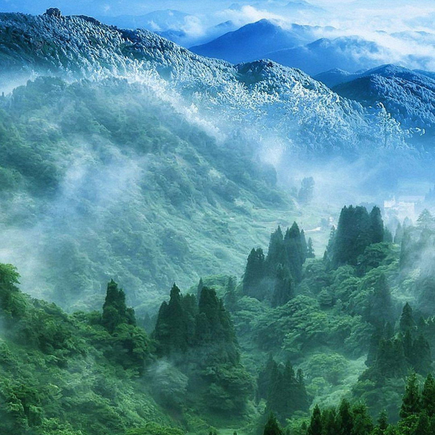 Nature